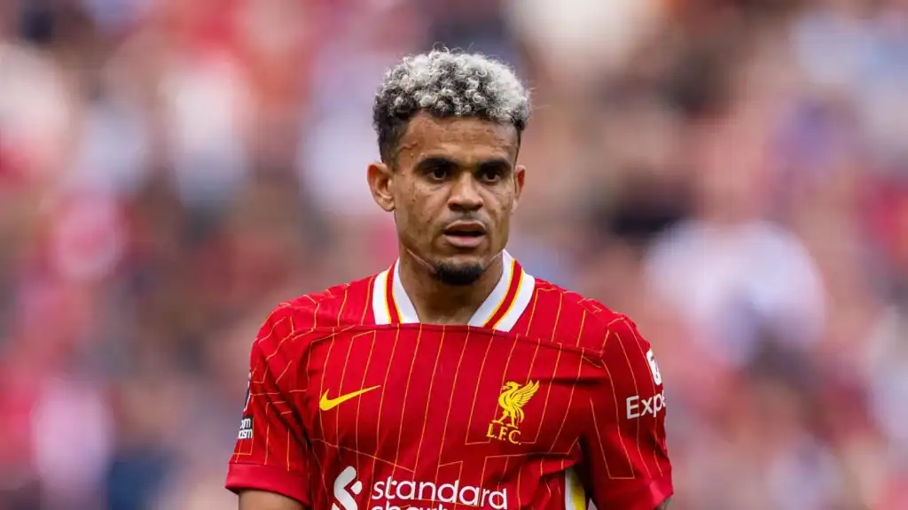 luis diaz